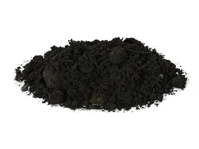 Terre amendée (terre noire et fumier de cheval)
