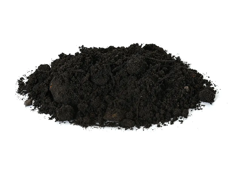 Terre amendée (terre noire et fumier de cheval)