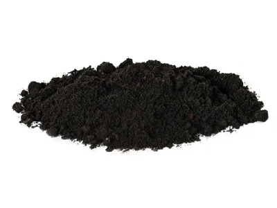 Terre noire